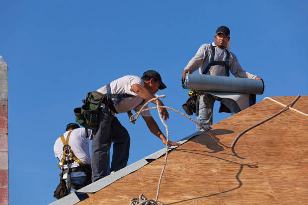 Best Roof Repair Specialists  in Glasgow, VA