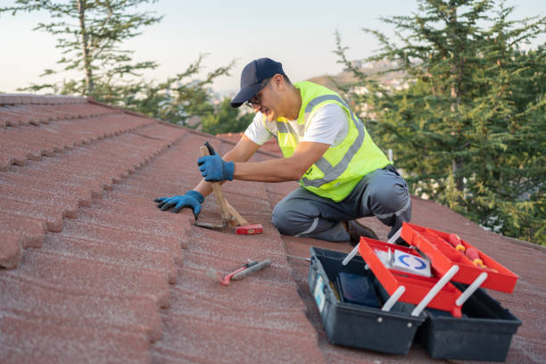 Best Roof Gutter Cleaning  in Glasgow, VA